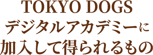 TOKYO DOGSデジタルアカデミーに加入して得られるもの