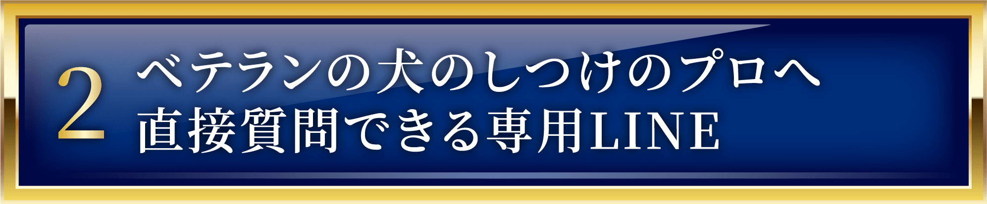 ベテランの犬のしつけのプロへ直接質問できる専用LINE