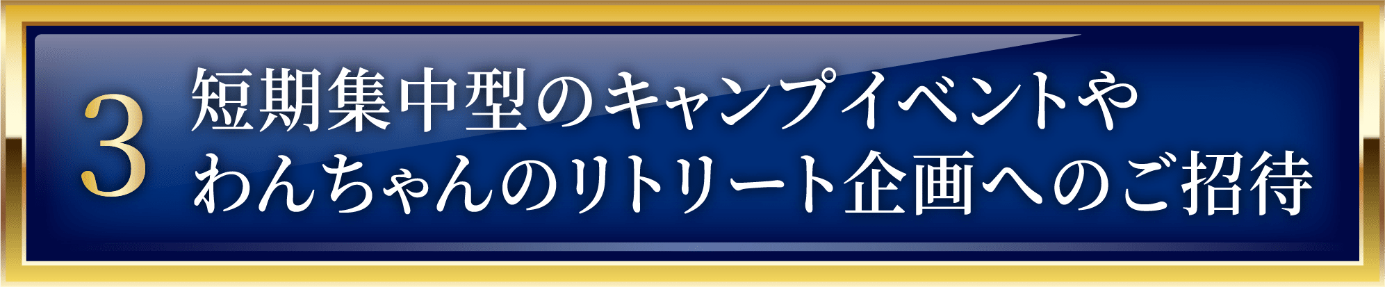 短期集中型のキャンプイベントやわんちゃんのリトリート企画へのご招待