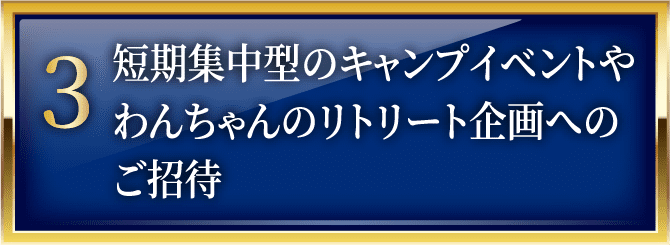 短期集中型のキャンプイベントやわんちゃんのリトリート企画へのご招待