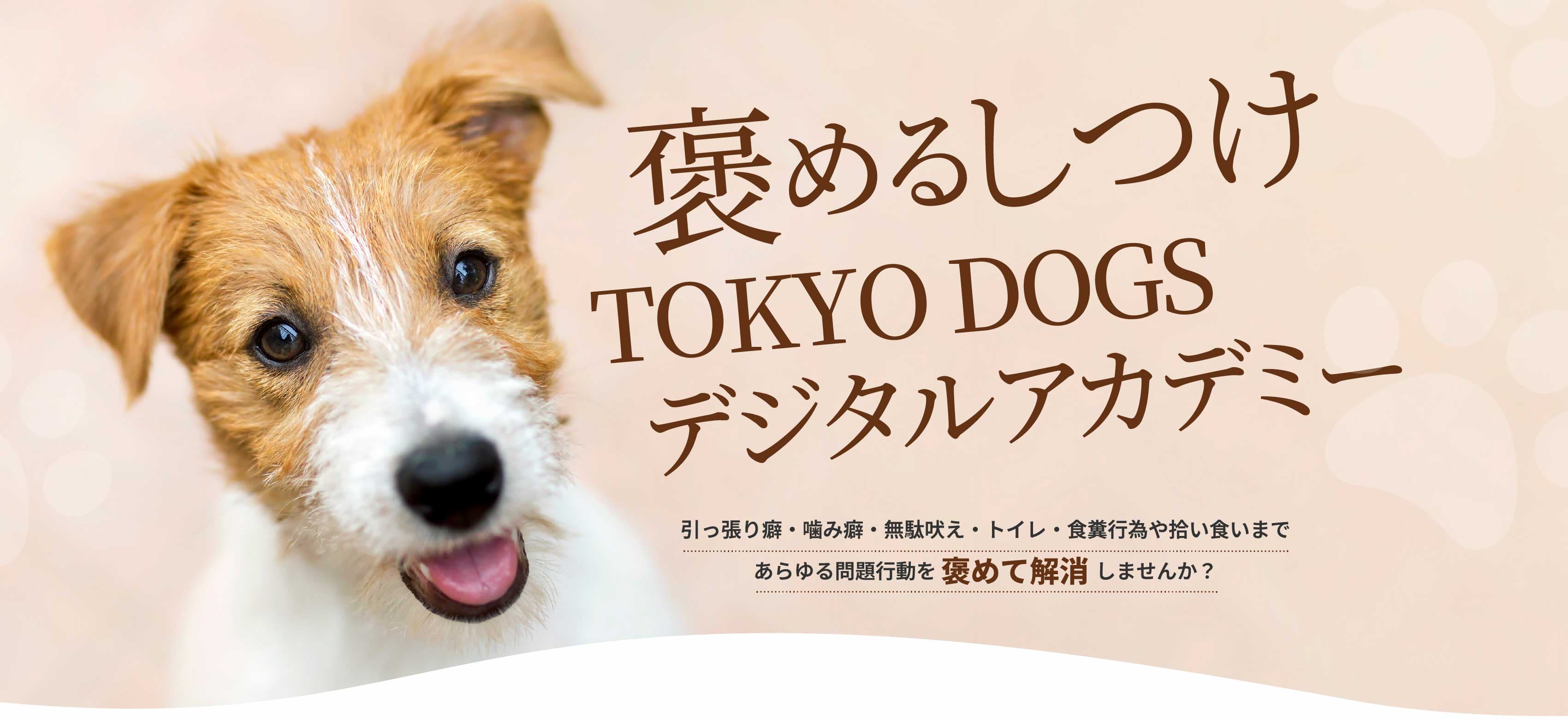 愛犬オーダーメイド褒めるしつけ代行