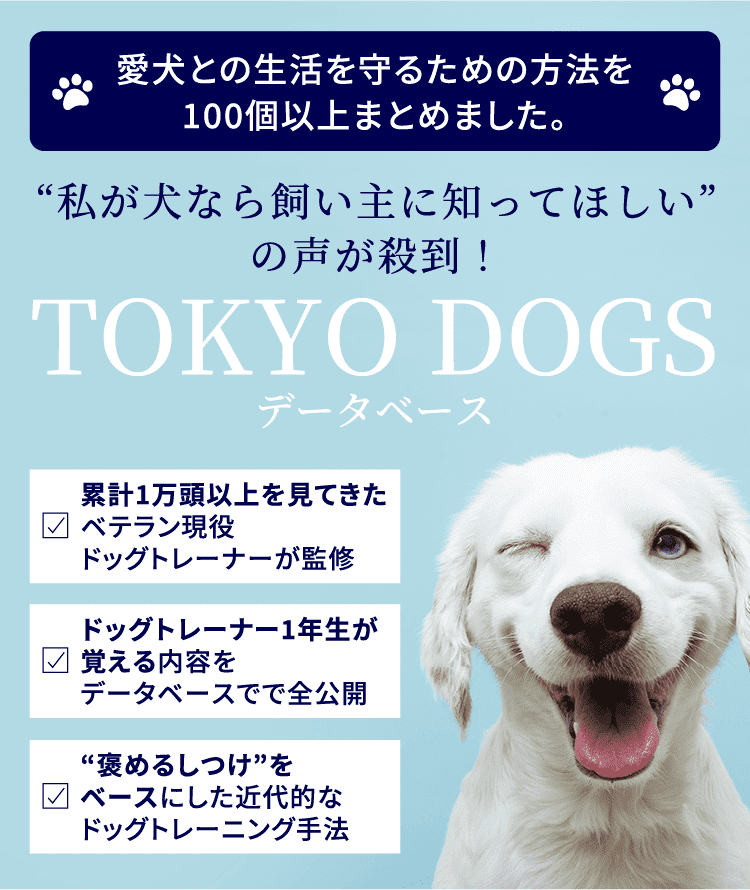 TOKYO DOGS