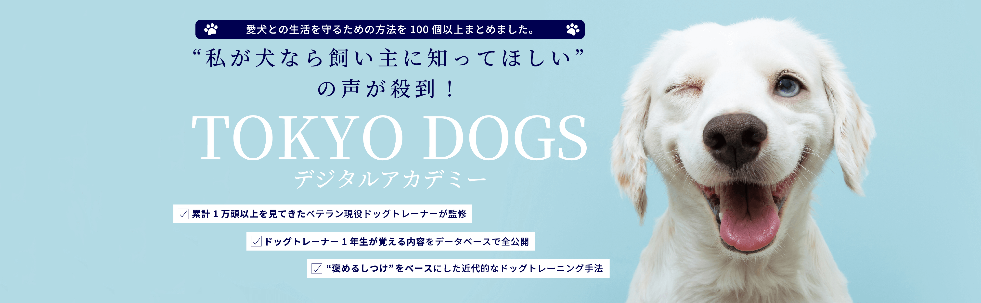 TOKYO DOGS