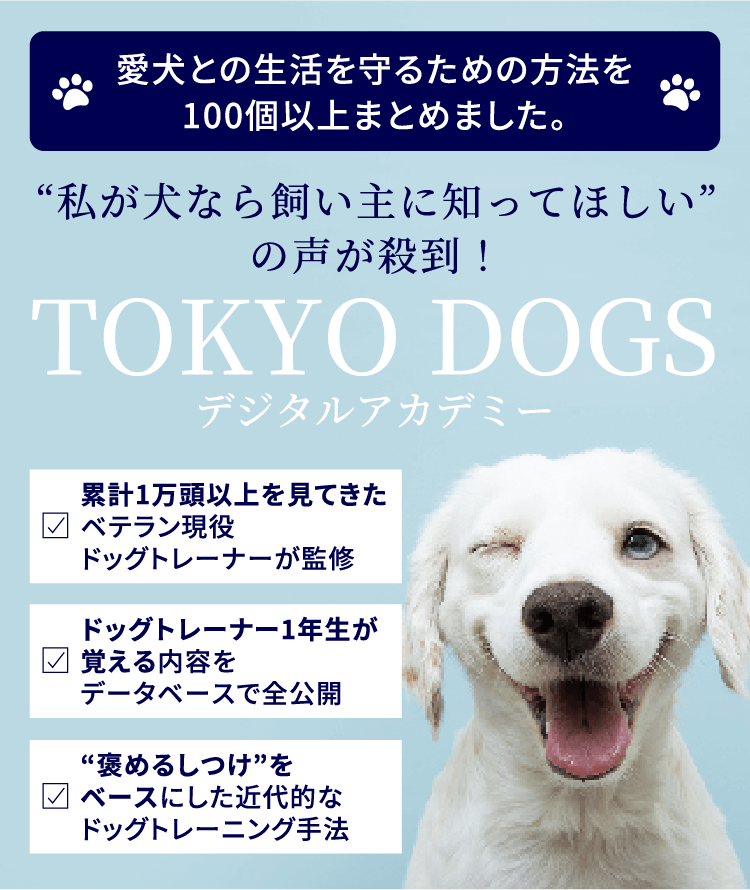 TOKYO DOGS